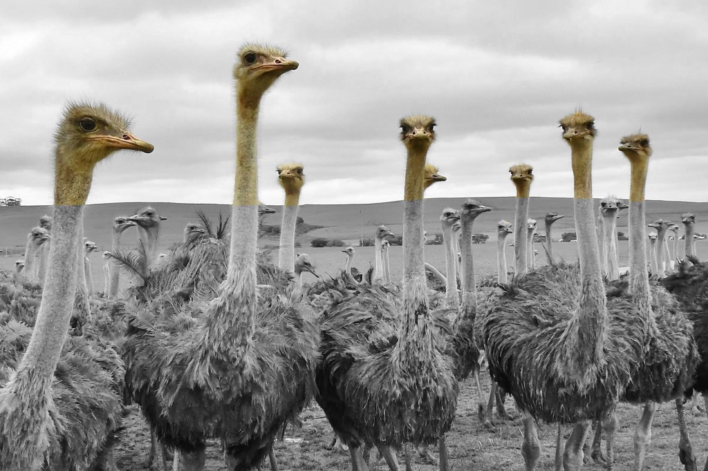 Notes de frais des élus : contre la « politique de l’autruche&nbsp;»